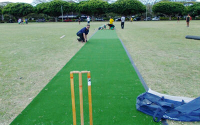 Cricket Wickets for Tonga