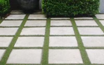 Residential Landscaping and Pavers