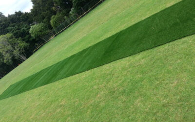 Hillpark School – Cricket Pitch & Cover