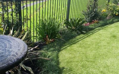 How to clean and maintain artificial grass